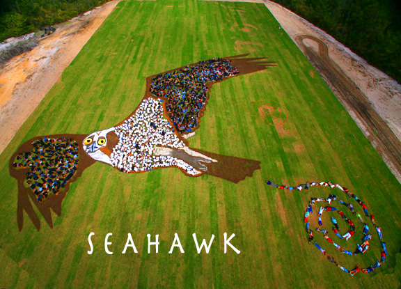 seahawk